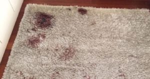 Eliminar manchas de sangre de alfombras