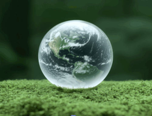 Limpieza ecológica de alfombras y moquetas: saludable para tu hogar y para el planeta