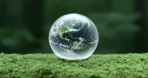 limpieza ecológica de alfombras y moquetas