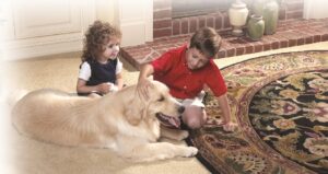 ¿La limpieza de alfombras ayuda a mi hijo con alergia?