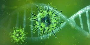 Desinfección de tapicerías, alfombras, moquetas, colchones, suelos... contra el coronavirus