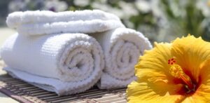 Limpieza de primavera combatir alergias Limpieza de primavera para combatir alergias