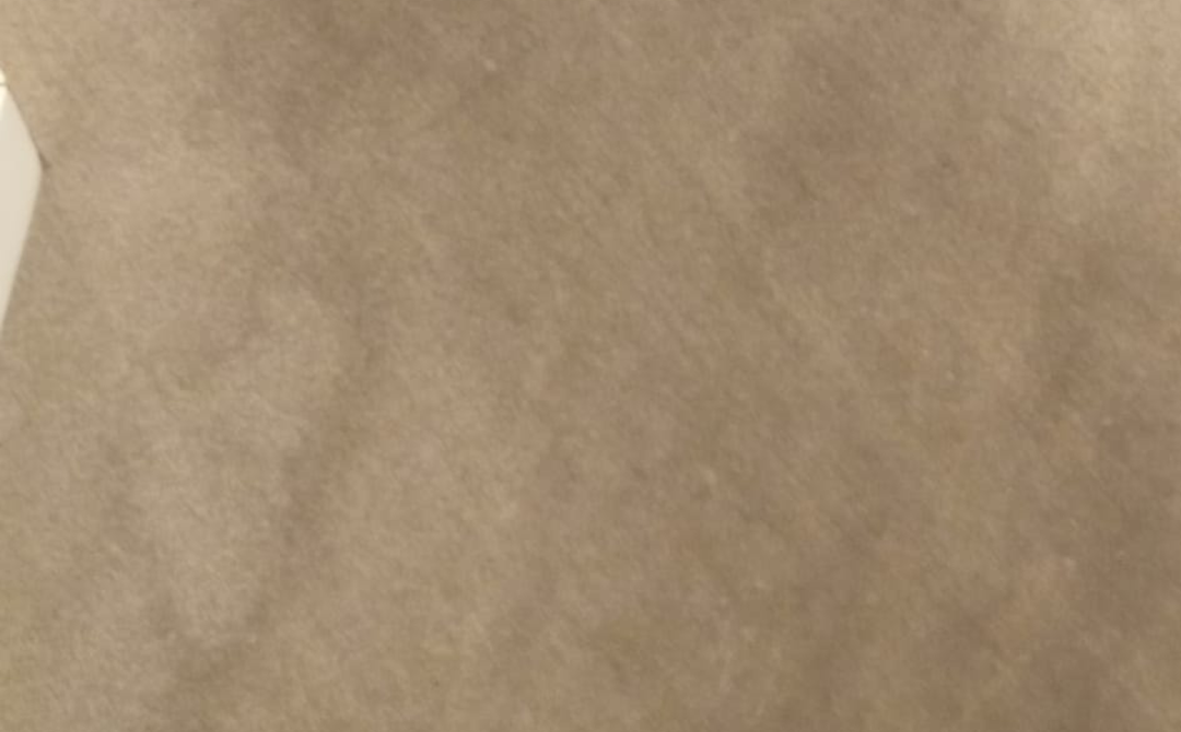 reaparición de manchas en alfombras