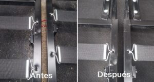 cómo eliminar peos de mascota