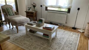 limpieza de las manchas y los olores de la alfombra