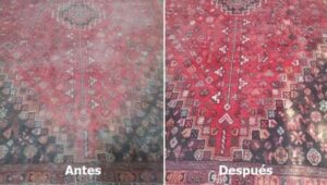 Pérdida de color de alfombras, ¿cómo evitarlo? pérdida de color de alfombras 1