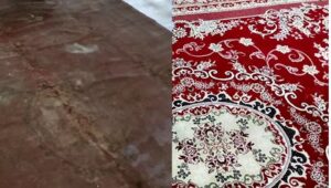 cuidado de alfombras en comercios