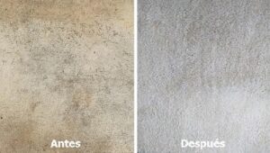 limpieza profesional de alfombras