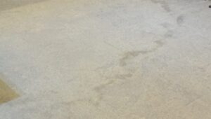 marcas de agua en alfombras y moquetas