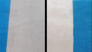 mitos sobre la limpieza de alfombras