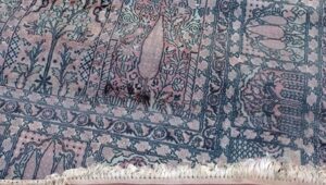 4 errores de limpieza que están estropeando tu alfombra errores de limpieza de alfombras