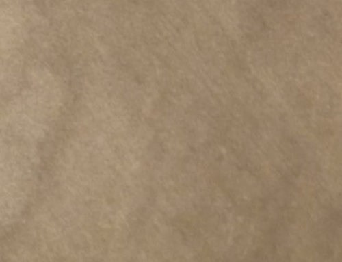 Reaparición de manchas en alfombras: por qué vuelven después de limpiarlas y cómo evitarlo