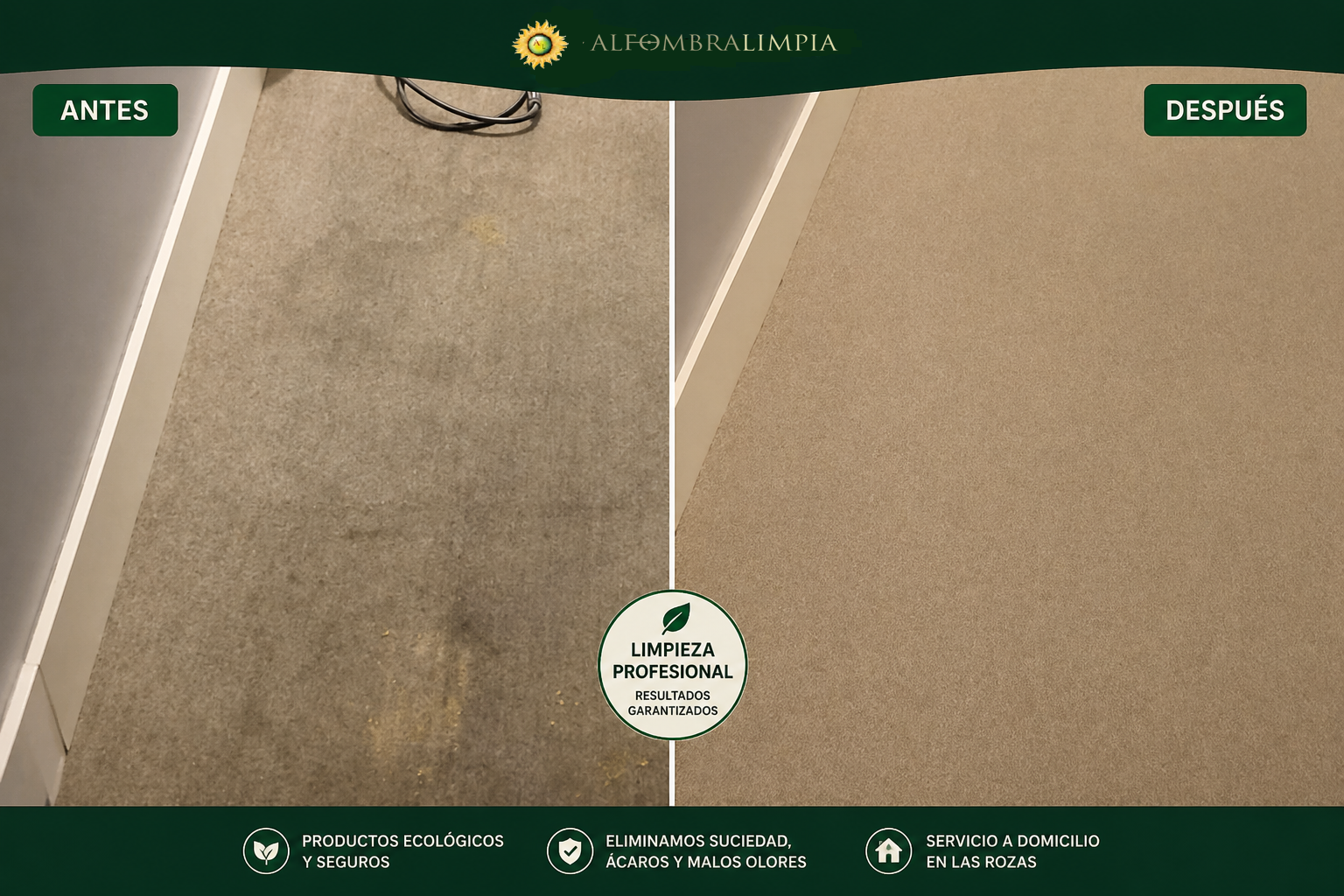 limpieza de alfombras en las rozas