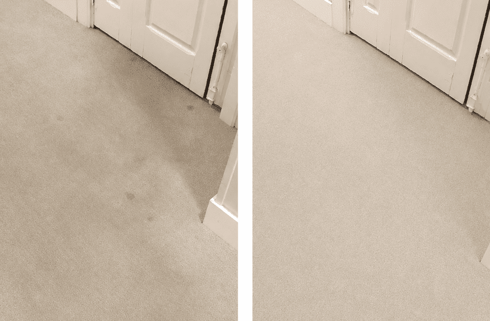 Antes y después limpieza de alfombra