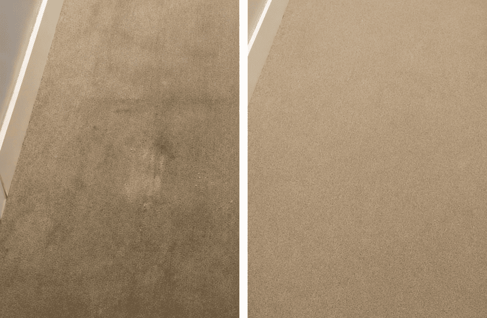 Antes y después limpieza de alfombra