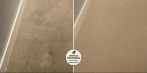 limpieza de alfombras en madrid profesional
