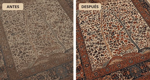 cada cuánto tiempo hay que limpiar una alfombra