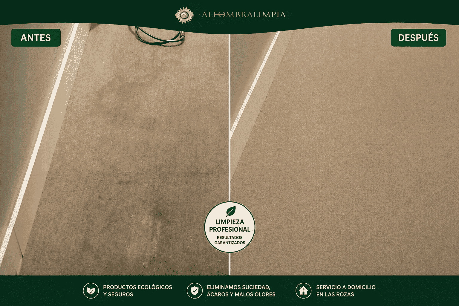 limpieza profesional de alfombras en Aravaca