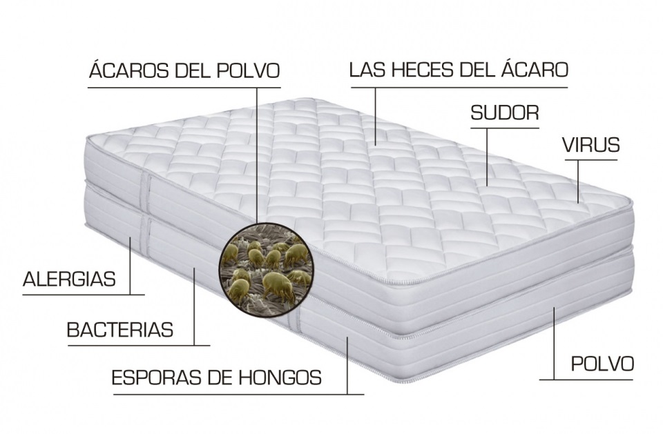 Limpieza y desinfección de colchones en Aravaca